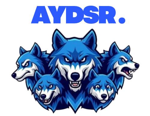 AYDSR